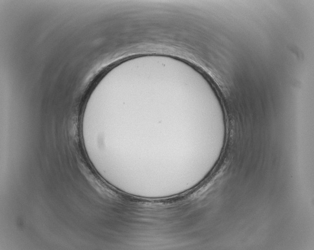 X0000115021499200911161434