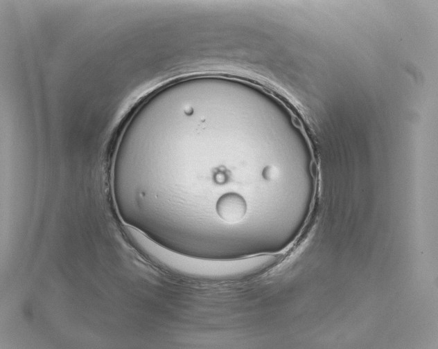 X0000115021501200911161434