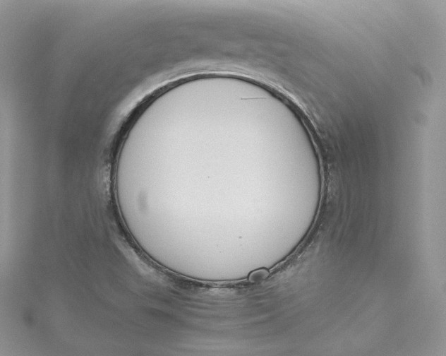 X0000115021503200911161434