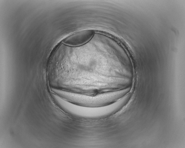 X0000115021505200911161434