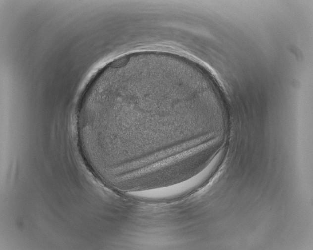 X0000115021506200911161434