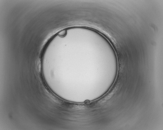 X0000115021509200911161434