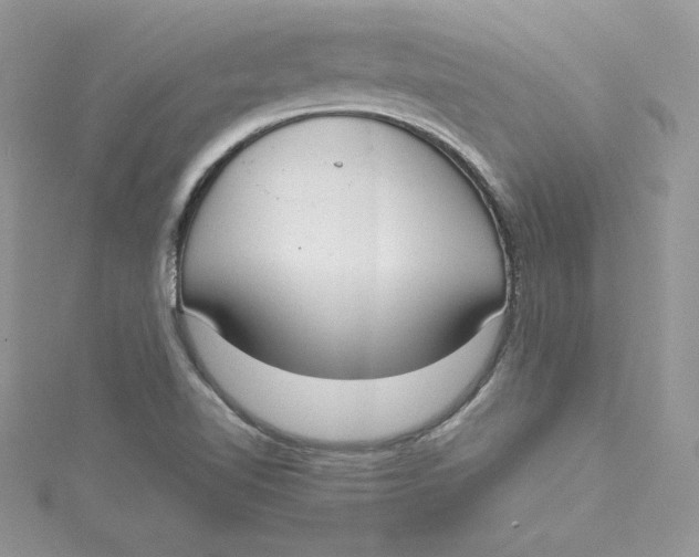 X0000115021510200911161434