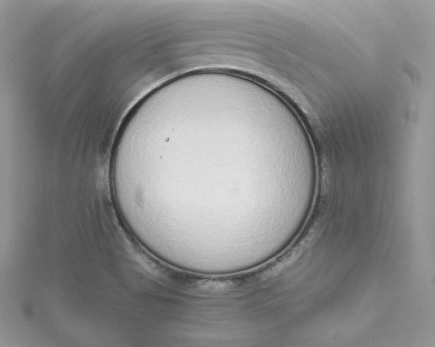 X0000115021513200911161434