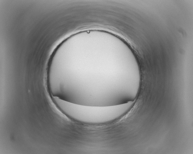 X0000115021518200911161435