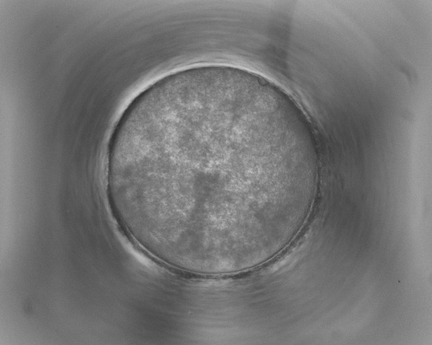 X0000115021519200911161435