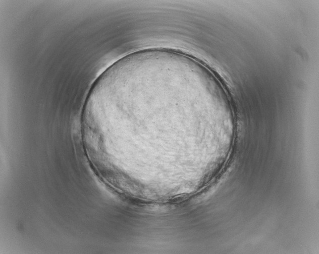 X0000115021521200911161435