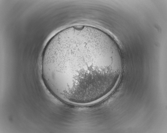 X0000115021522200911161435