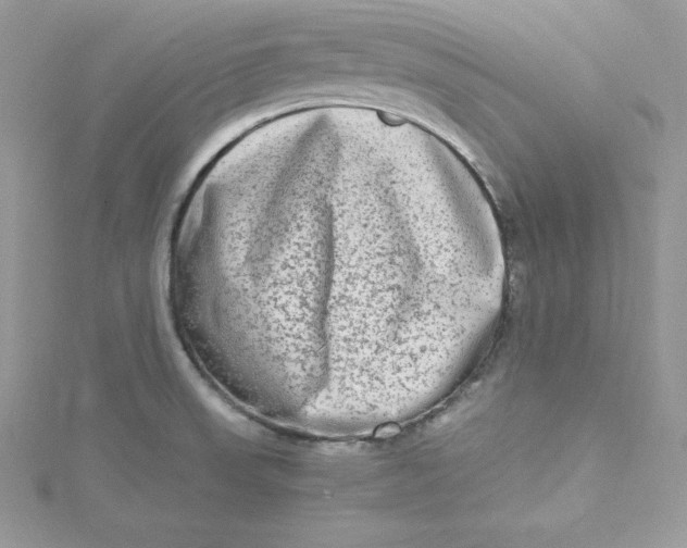 X0000115021523200911161435