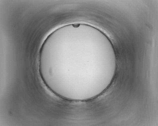 X0000115021526200911161435