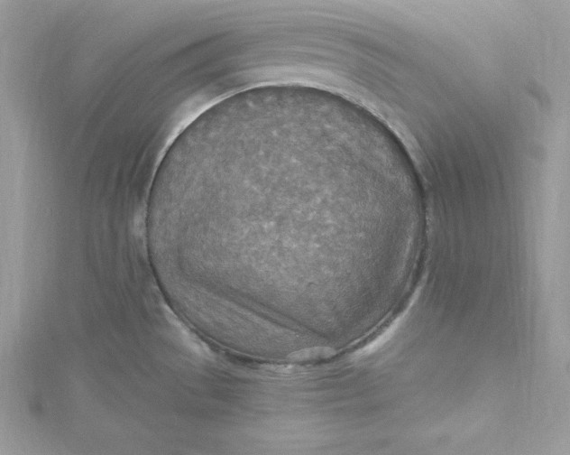 X0000115021529200911161435