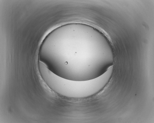 X0000115021530200911161435