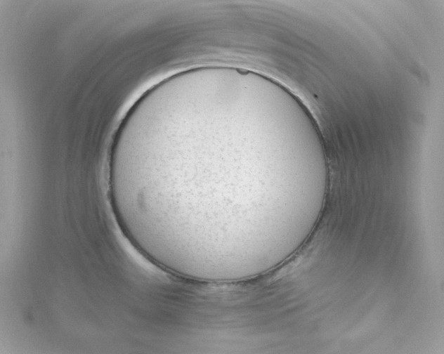 X0000115021531200911161435