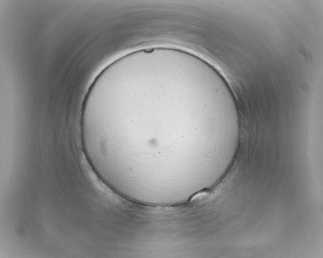 X0000115021534200911161435