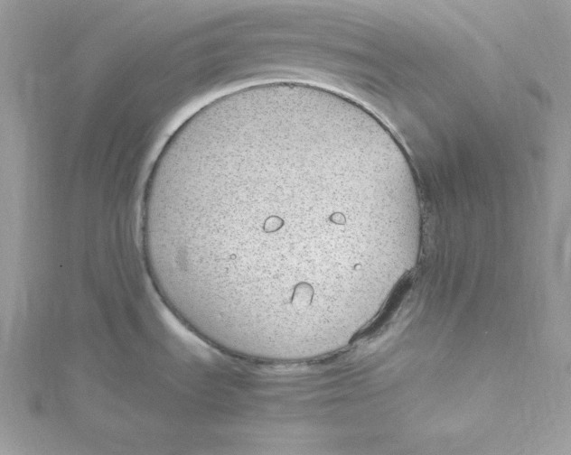 X0000115021535200911161435