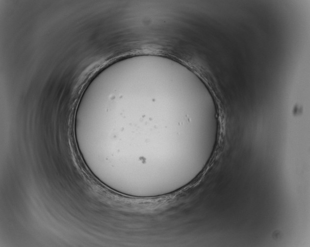 X0000115020001200911231301