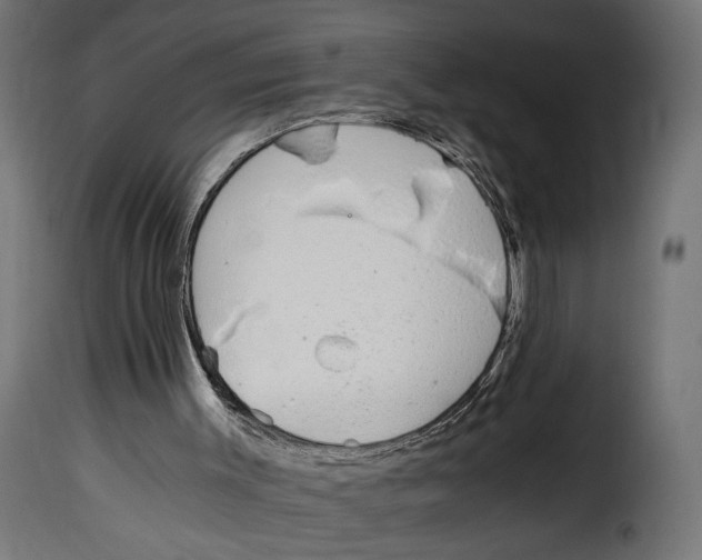 X0000115020003200911231301