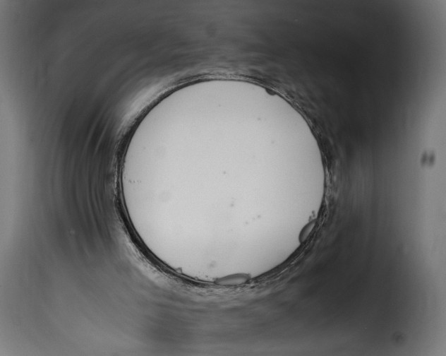 X0000115020005200911231301