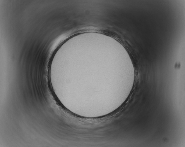 X0000115020006200911231301