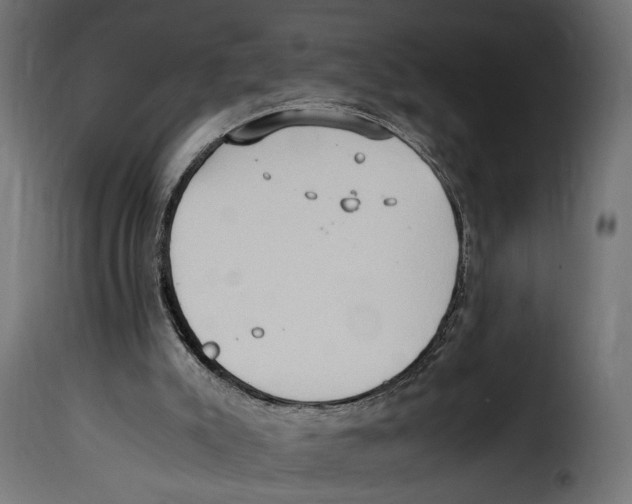 X0000115020007200911231301