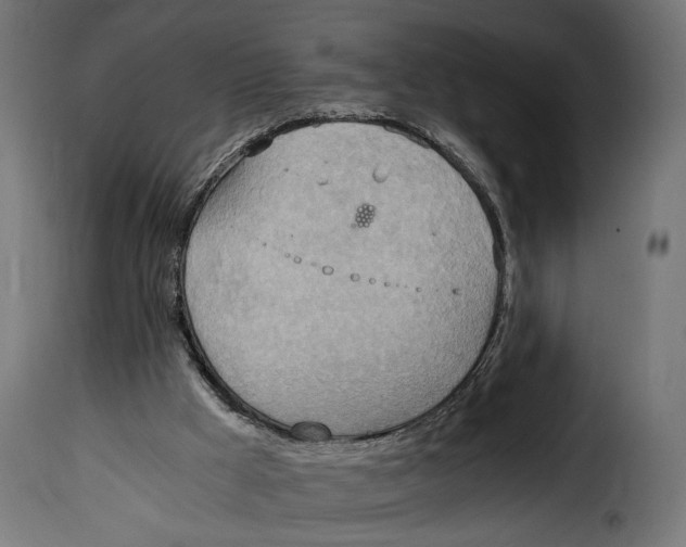 X0000115020009200911231301