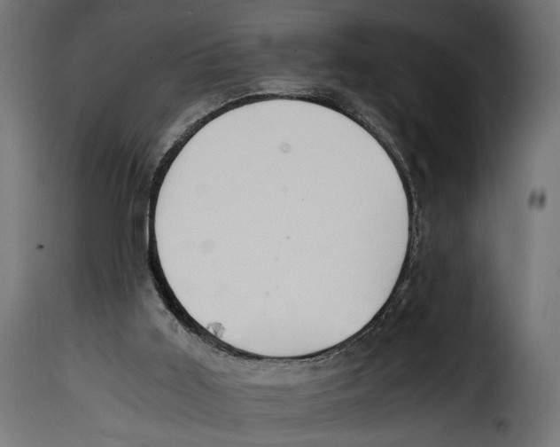 X0000115020011200911231301