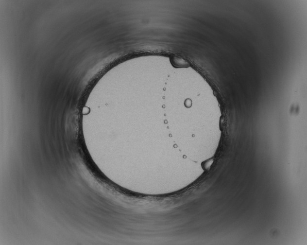 X0000115020016200911231300