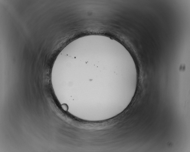 X0000115020017200911231300