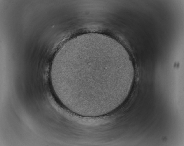 X0000115020018200911231300