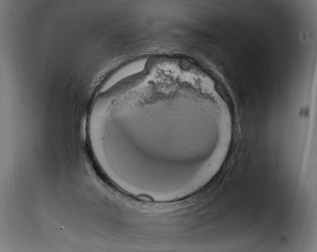 X0000115020019200911231300