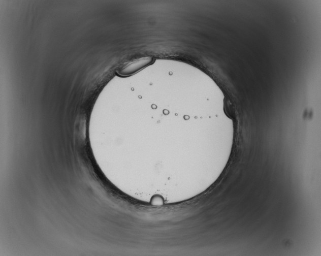 X0000115020021200911231300