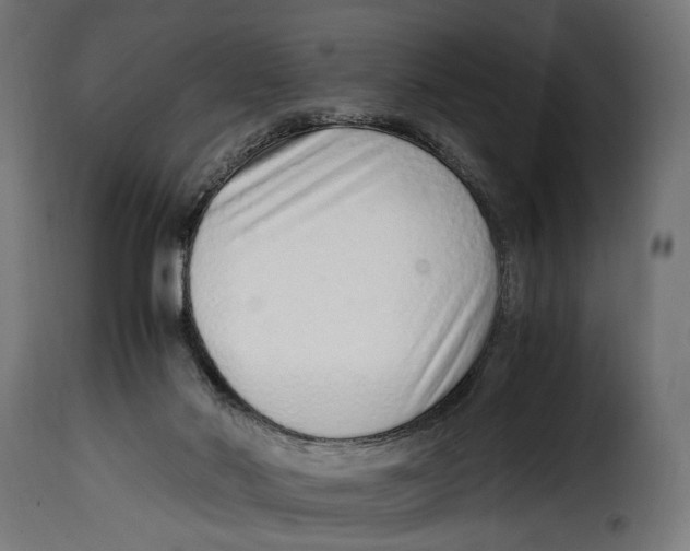 X0000115020022200911231300