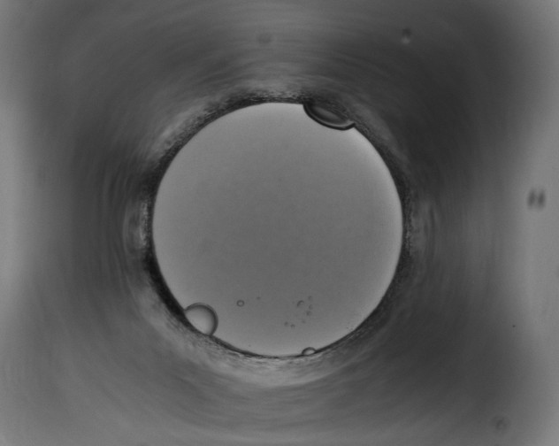 X0000115020023200911231300