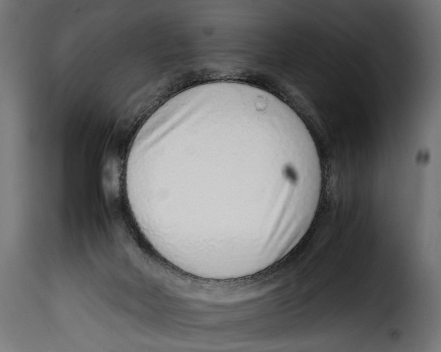 X0000115020026200911231300