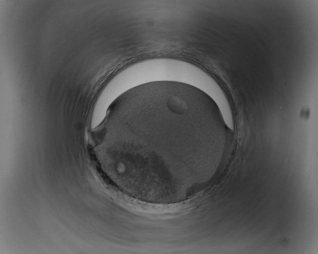 X0000115020027200911231300