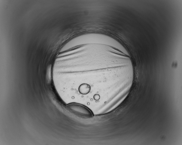 X0000115020028200911231300