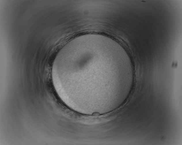 X0000115020029200911231300