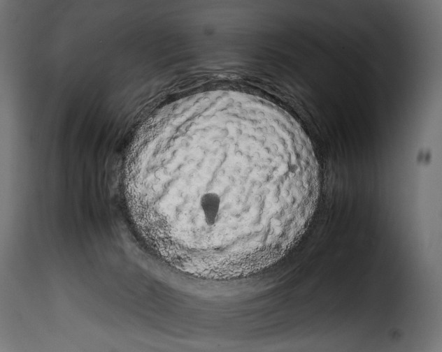 X0000115020030200911231300