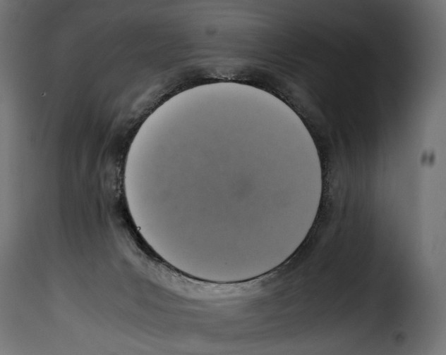 X0000115020031200911231300