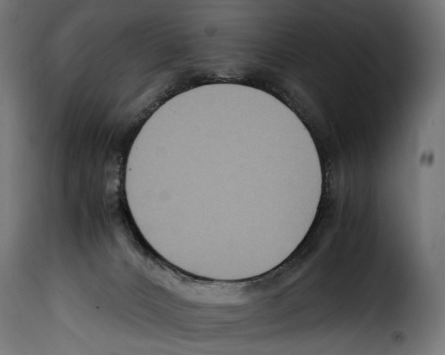 X0000115020032200911231300