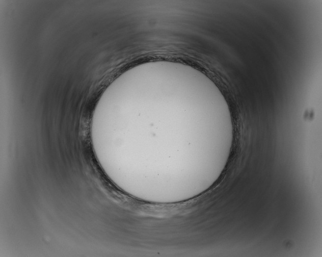 X0000115020033200911231300