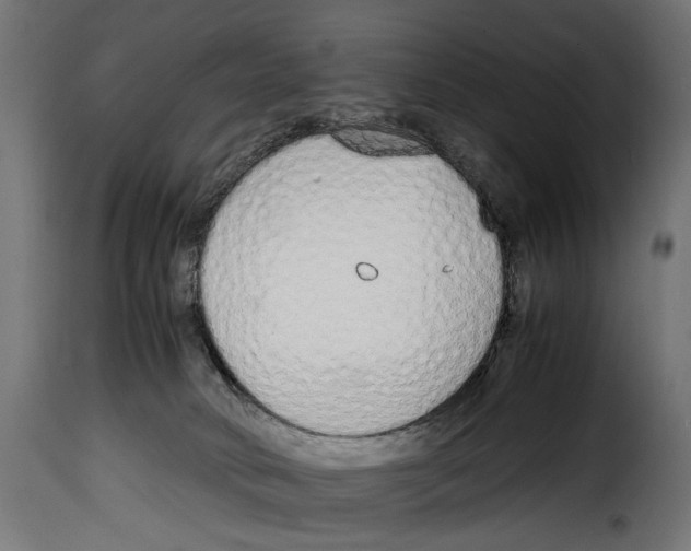 X0000115020034200911231300