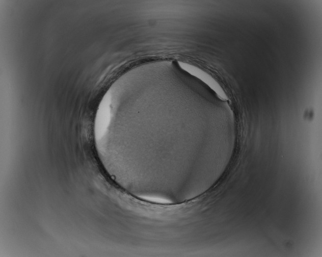 X0000115020035200911231300