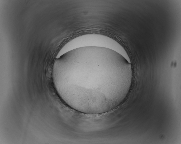 X0000115020037200911231300