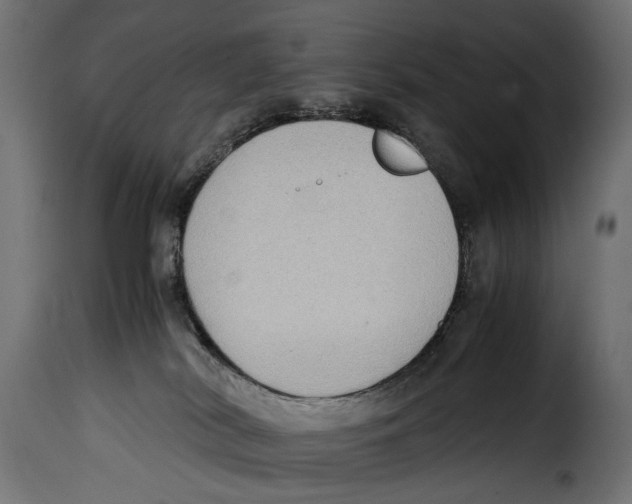 X0000115020038200911231300