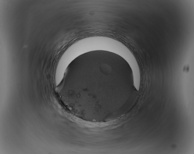 X0000115020039200911231300