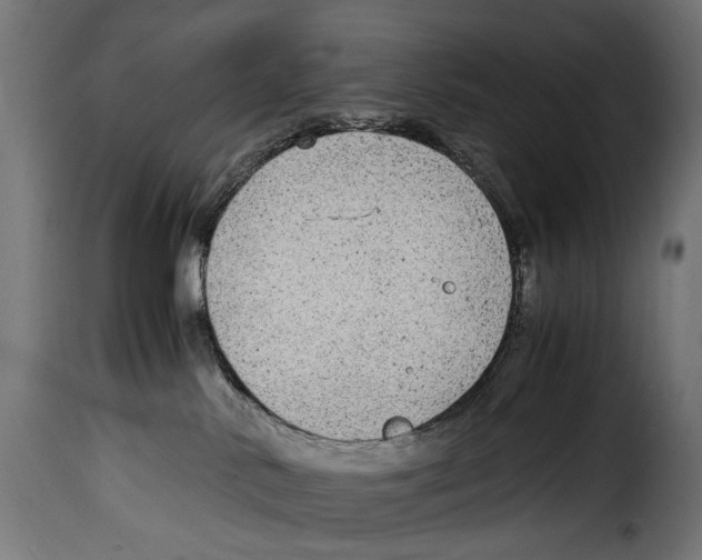 X0000115020042200911231300