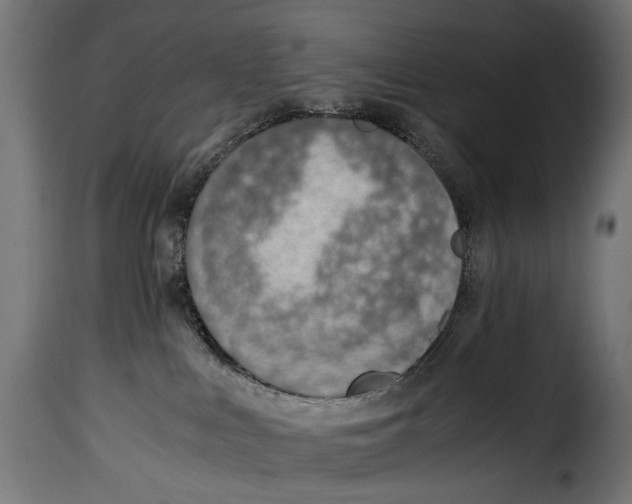 X0000115020043200911231300