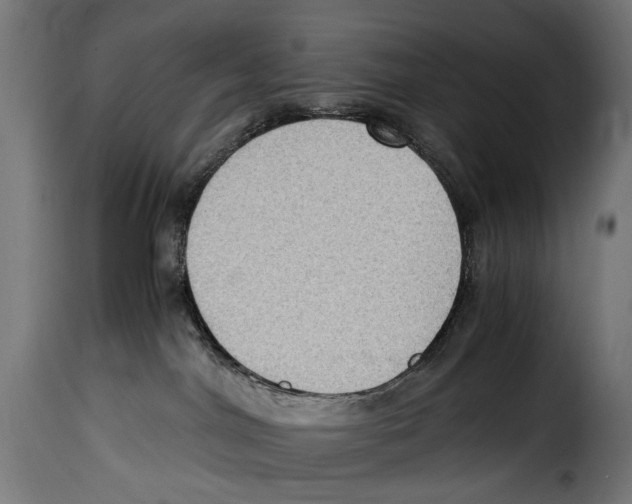 X0000115020044200911231300