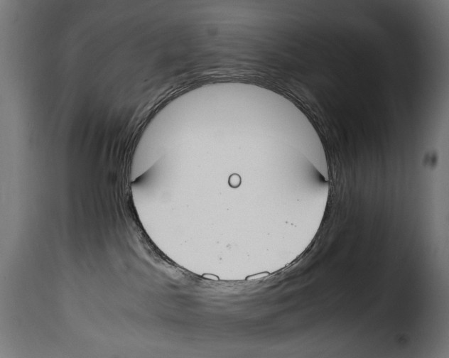 X0000115020045200911231300